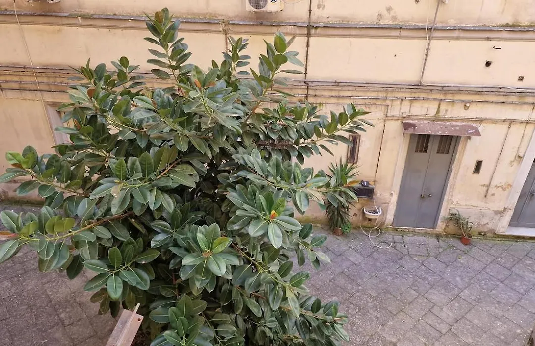 Napoli Station B&B-1